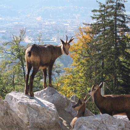 1400395_10153339607515398_277497431_o